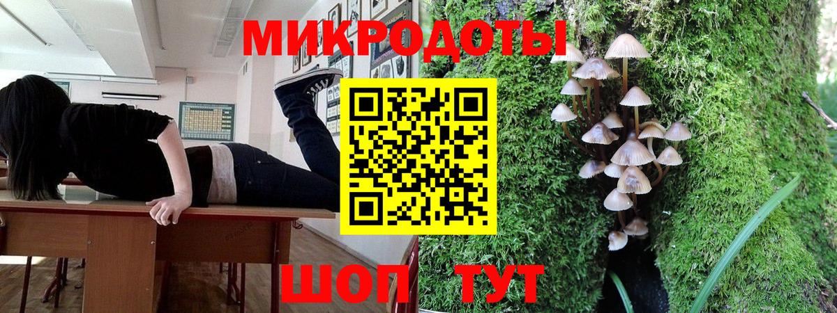 Галлюциногенные грибы Magic Shrooms  Вход с VPN  Камышлов  Галлюциногенные грибы мицелий 
